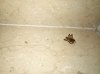 IMG_20180824_075440.jpg
