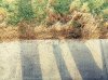 IMG_20180825_084750_611.jpg