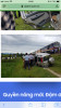 CBE1DA84-1751-4024-AB3C-D7CBEBB4906B.png