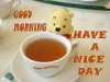 good morning.jpg