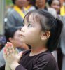 519d3660a2cdb_phanluongthap.jpg