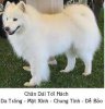 chân dài 1.jpg