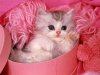 IMG06T6053J2U.jpg