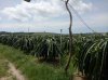 IMG20180910101922.jpg