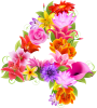 0_5f90d_5e6fadb6_M.png