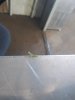 20180924_132241.jpg