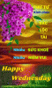 IMG_3320.GIF