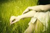 It__s_all_green_by_ennil.jpg