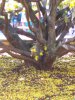 20190206_090855.jpg