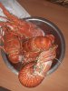20190508_174836.jpg