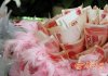 hoa-tien-that2-02-420.jpg