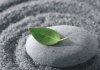 meditation-leaf.jpg