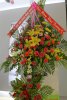 Hoa-khai-truong-htc-MN_3.jpg