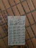36CE6DE3-40B6-40A3-B160-6A685B4C4287.jpeg