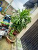 IMG20191027144219.jpg