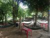 IMG_20191101_113579.jpg