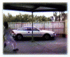 Phi_cước.gif