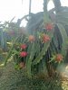 IMG20200204164013.jpg