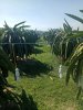IMG20200207141314.jpg