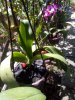 IMG_20200222_104520.jpg