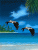 8500311_orig.gif
