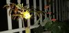 20200905_183708.jpg