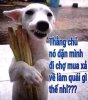 B9E91A52-4F90-40BD-995B-B9963E686959.jpeg