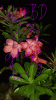 20210114_214731.gif