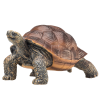387259_Giant_Turtle_4.png