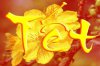 tet0.jpg