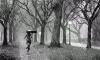 a655bf5d.gif
