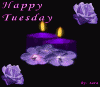 dayofweek.gif