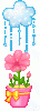588286mhhn9hcayr.gif