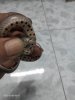 IMG20220103081526.jpg