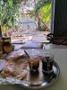 IMG20221016151336.jpg