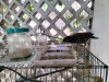 IMG20221020100850.jpg