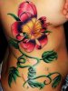 images (12).jpg