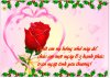thiep-mong-8-3-1394040836.jpg