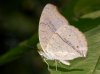 buom009_6116.jpg