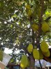 7E084608-9735-48F0-899A-4E2386F0CFFD.jpeg