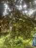 EE573686-4206-4D3A-9D5E-968C03A870D4.jpeg