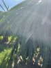 5635B8B9-7510-434F-BBB8-24759BA6DE58.jpeg