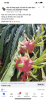 1CA0D4E0-B347-46AB-B260-90BEEE19DBFB.png