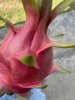 AC9D6754-A4A8-440D-9D37-8AC01FFAAA77.jpeg