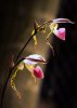 upload_2023-4-16_21-13-24.png