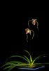 upload_2023-4-17_20-1-31.png