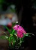 upload_2023-4-17_21-24-59.png