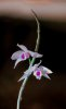 upload_2023-4-17_21-41-5.png