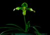 upload_2023-4-17_21-43-21.png