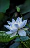 upload_2023-4-24_21-42-7.png